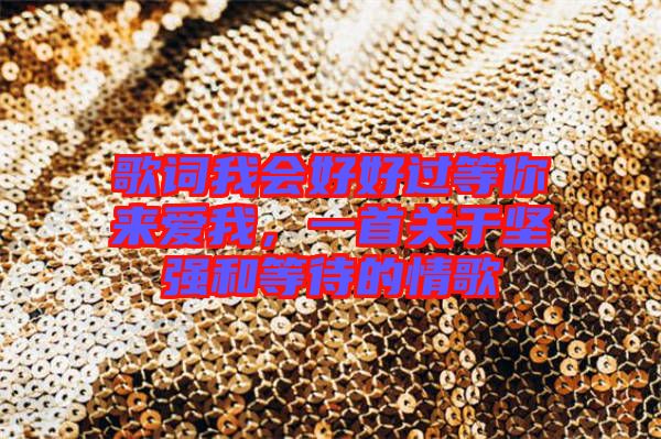 歌詞我會(huì)好好過等你來愛我，一首關(guān)于堅(jiān)強(qiáng)和等待的情歌