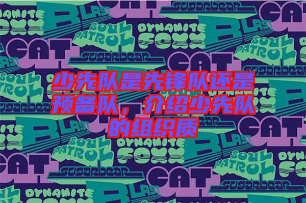 少先隊是先鋒隊還是預備隊，介紹少先隊的組織質