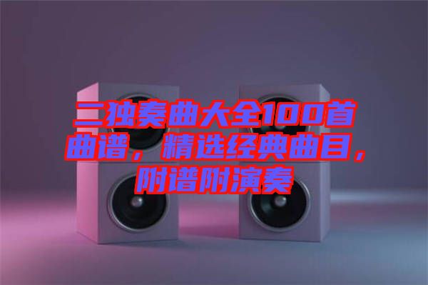 二獨奏曲大全100首曲譜，精選經典曲目，附譜附演奏