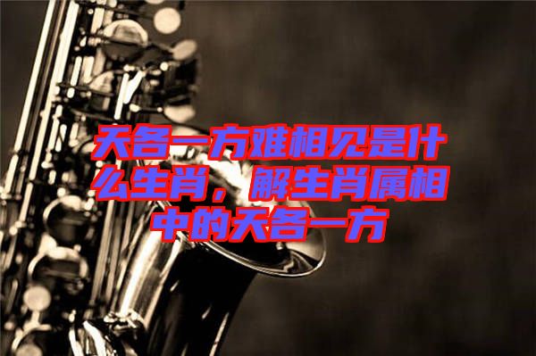 天各一方難相見是什么生肖，解生肖屬相中的天各一方