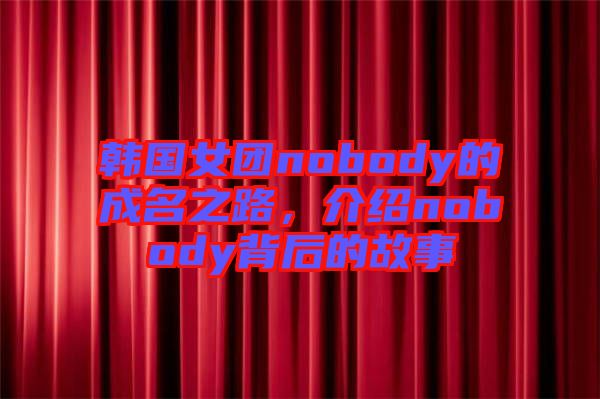 韓國(guó)女團(tuán)nobody的成名之路，介紹nobody背后的故事