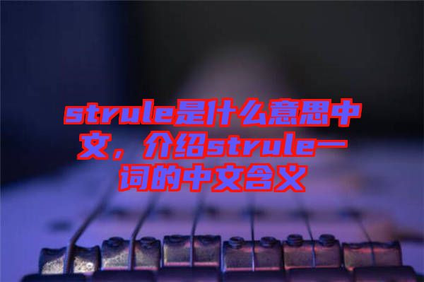 strule是什么意思中文，介紹strule一詞的中文含義