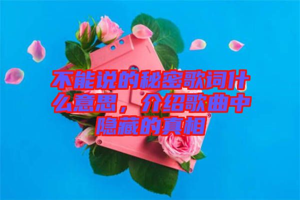 不能說的秘密歌詞什么意思，介紹歌曲中隱藏的真相