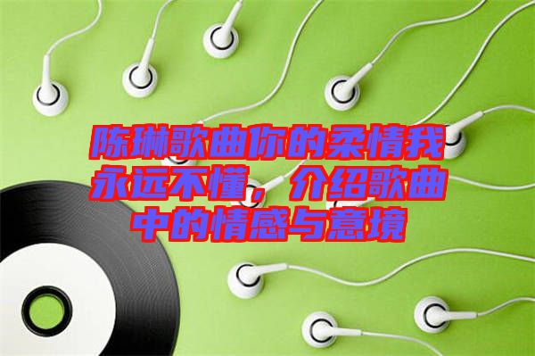 陳琳歌曲你的柔情我永遠不懂，介紹歌曲中的情感與意境
