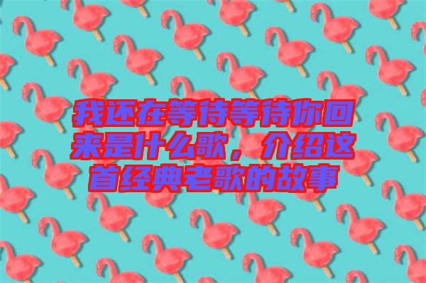 我還在等待等待你回來是什么歌，介紹這首經(jīng)典老歌的故事