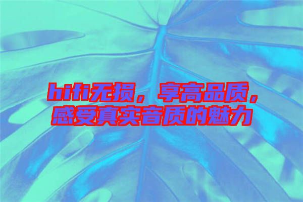 hifi無損，享高品質(zhì)，感受真實音質(zhì)的魅力