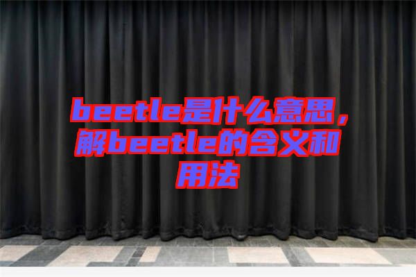 beetle是什么意思，解beetle的含義和用法