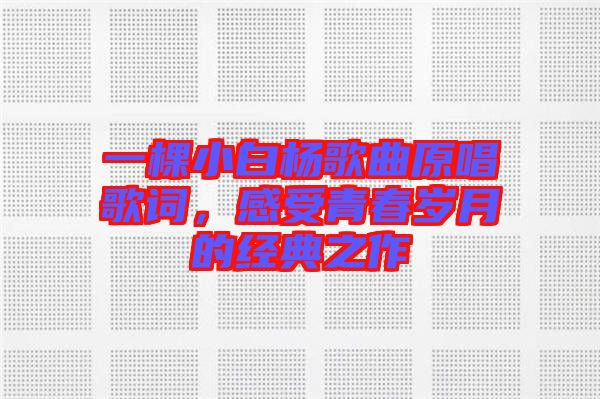 一棵小白楊歌曲原唱歌詞，感受青春歲月的經典之作