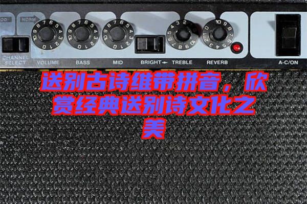 送別古詩維帶拼音，欣賞經典送別詩文化之美