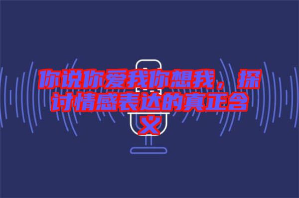 你說你愛我你想我，探討情感表達的真正含義