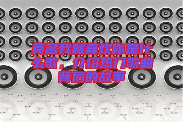 莫名我就喜歡你是什么歌，介紹熱門歌曲背后的故事