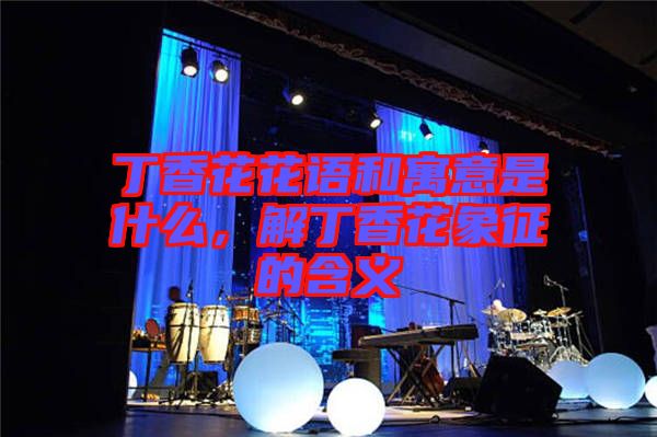 丁香花花語和寓意是什么，解丁香花象征的含義
