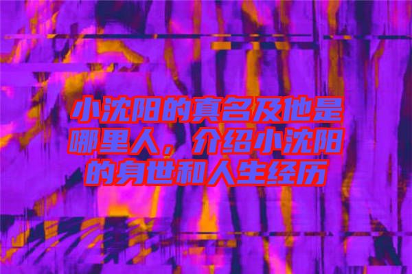 小沈陽的真名及他是哪里人，介紹小沈陽的身世和人生經歷