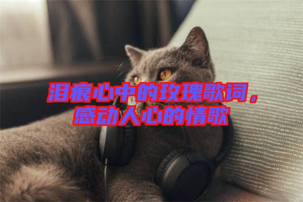 淚痕心中的玫瑰歌詞，感動人心的情歌
