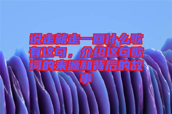 說走就走一回什么歌有這句，介紹這句歌詞的來源和背后的故事