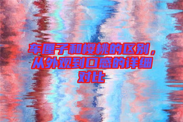 車厘子和櫻桃的區別，從外觀到口感的詳細對比