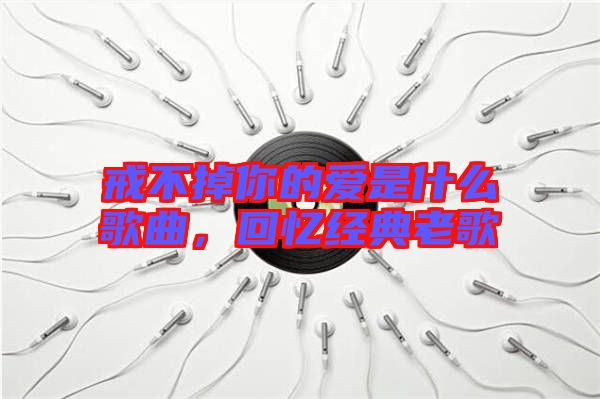 戒不掉你的愛是什么歌曲，回憶經典老歌