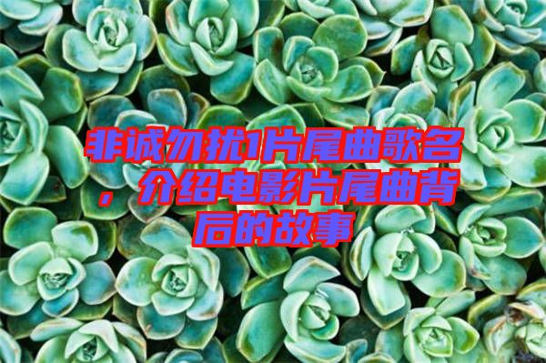 非誠勿擾1片尾曲歌名，介紹電影片尾曲背后的故事