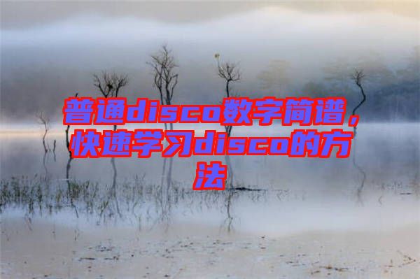 普通disco數字簡譜，快速學習disco的方法