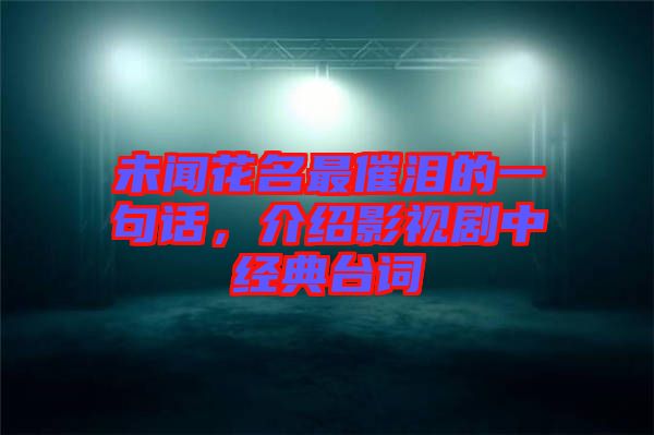 未聞花名最催淚的一句話，介紹影視劇中經典臺詞