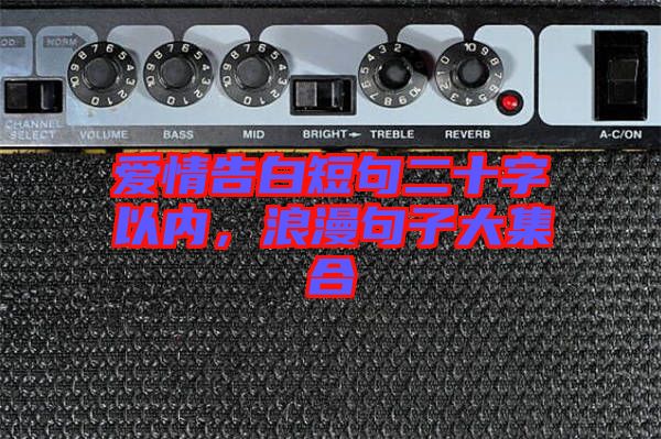 愛情告白短句二十字以內，浪漫句子大集合