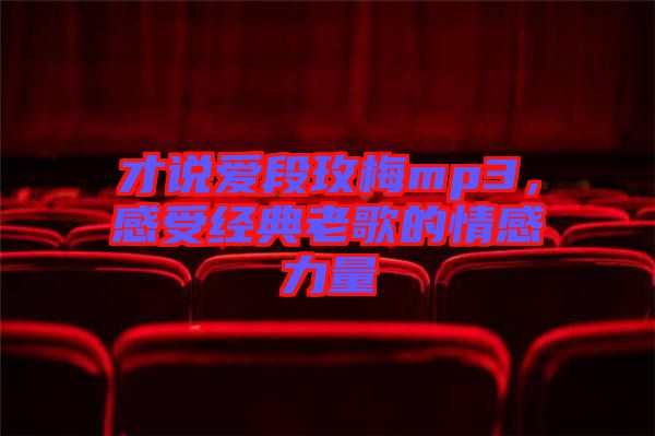 才說愛段玫梅mp3，感受經典老歌的情感力量
