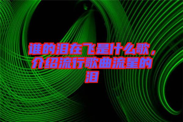 誰的淚在飛是什么歌，介紹流行歌曲流星的淚