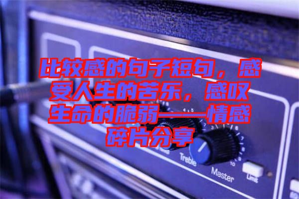 比較感的句子短句，感受人生的苦樂，感嘆生命的脆弱——情感碎片分享