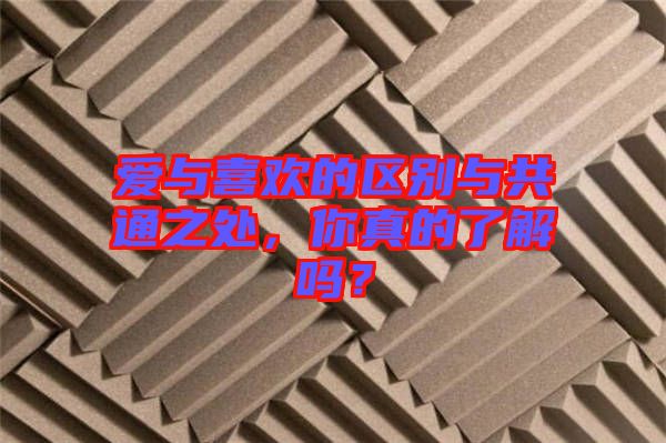 愛(ài)與喜歡的區(qū)別與共通之處，你真的了解嗎？