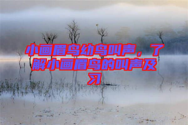 小畫眉鳥幼鳥叫聲，了解小畫眉鳥的叫聲及習