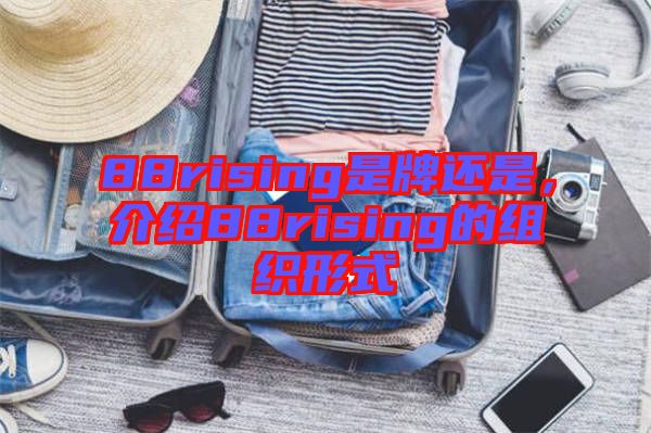 88rising是牌還是，介紹88rising的組織形式