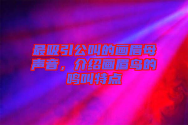 最吸引公叫的畫眉母聲音，介紹畫眉鳥的鳴叫特點
