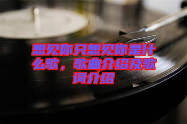 想見(jiàn)你只想見(jiàn)你是什么歌，歌曲介紹及歌詞介紹