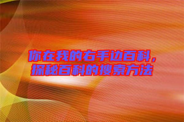 你在我的右手邊百科，探秘百科的搜索方法
