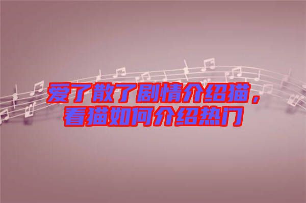 愛了散了劇情介紹貓，看貓如何介紹熱門