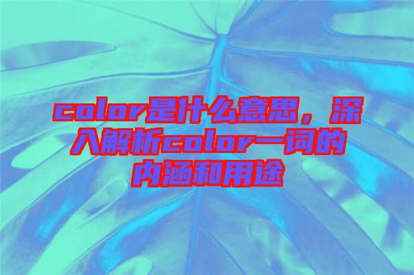 color是什么意思，深入解析color一詞的內涵和用途