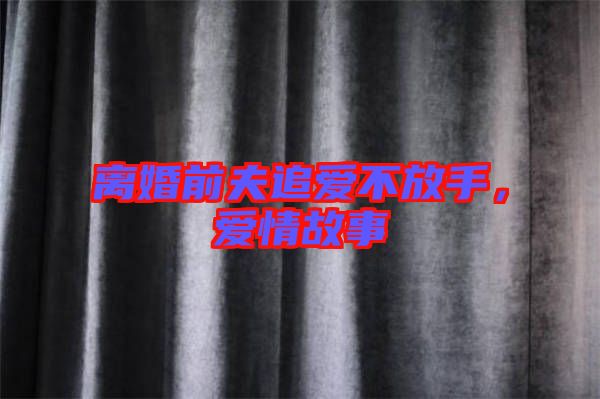 離婚前夫追愛(ài)不放手，愛(ài)情故事