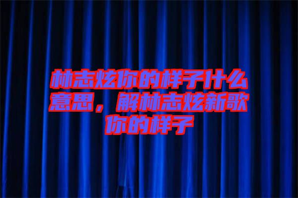 林志炫你的樣子什么意思，解林志炫新歌你的樣子