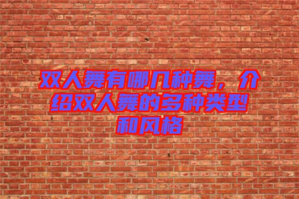 雙人舞有哪幾種舞，介紹雙人舞的多種類型和風格