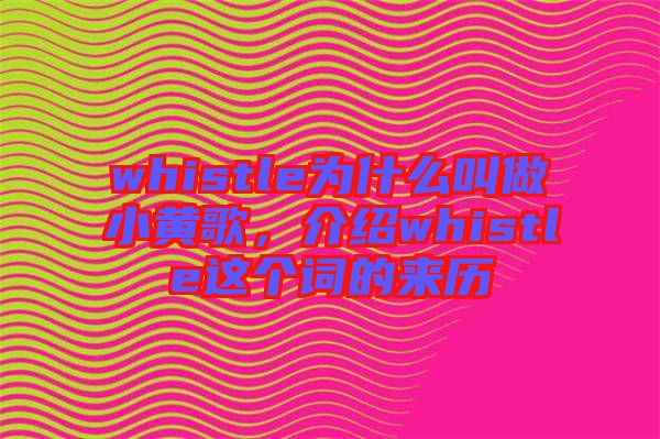 whistle為什么叫做小黃歌，介紹whistle這個詞的來歷