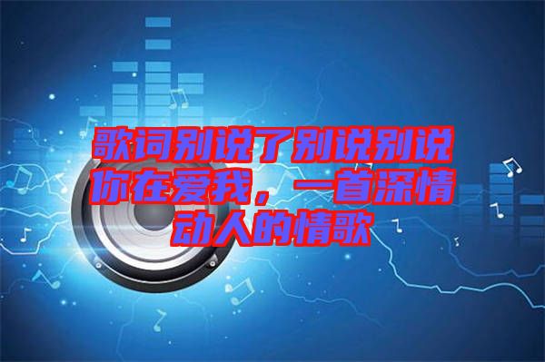 歌詞別說了別說別說你在愛我，一首深情動(dòng)人的情歌