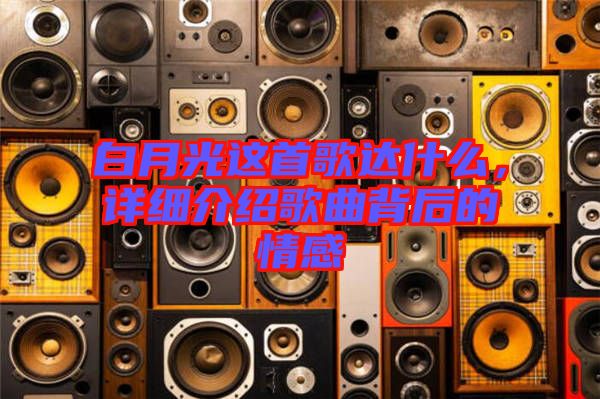 白月光這首歌達什么，詳細介紹歌曲背后的情感
