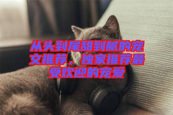 從頭到尾甜到膩的寵文推薦，獨家推薦最受歡迎的寵愛