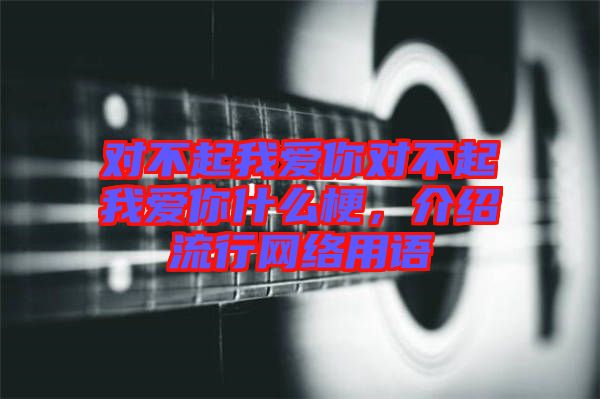 對不起我愛你對不起我愛你什么梗，介紹流行網絡用語