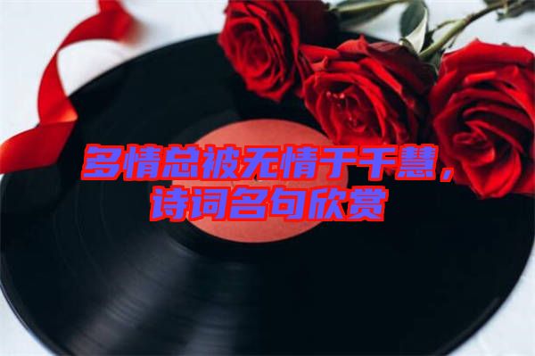 多情總被無情于千慧，詩詞名句欣賞