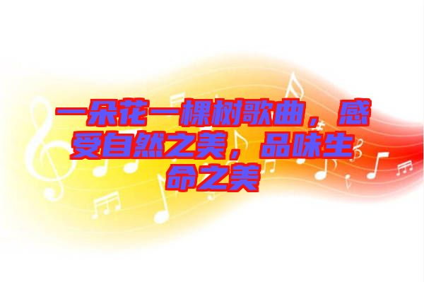 一朵花一棵樹歌曲，感受自然之美，品味生命之美