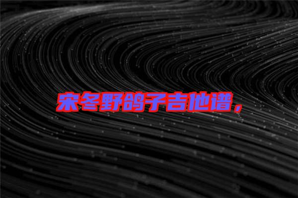 宋冬野鴿子吉他譜，