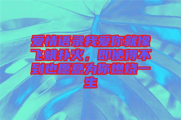 愛情語錄我愛你就像飛蛾撲火，即使得不到也愿意為你燃燒一生