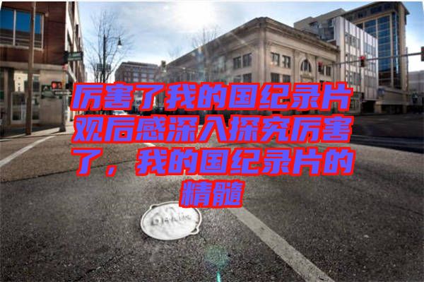 厲害了我的國紀(jì)錄片觀后感深入探究厲害了，我的國紀(jì)錄片的精髓