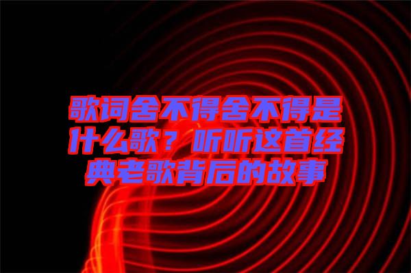 歌詞舍不得舍不得是什么歌？聽聽這首經典老歌背后的故事